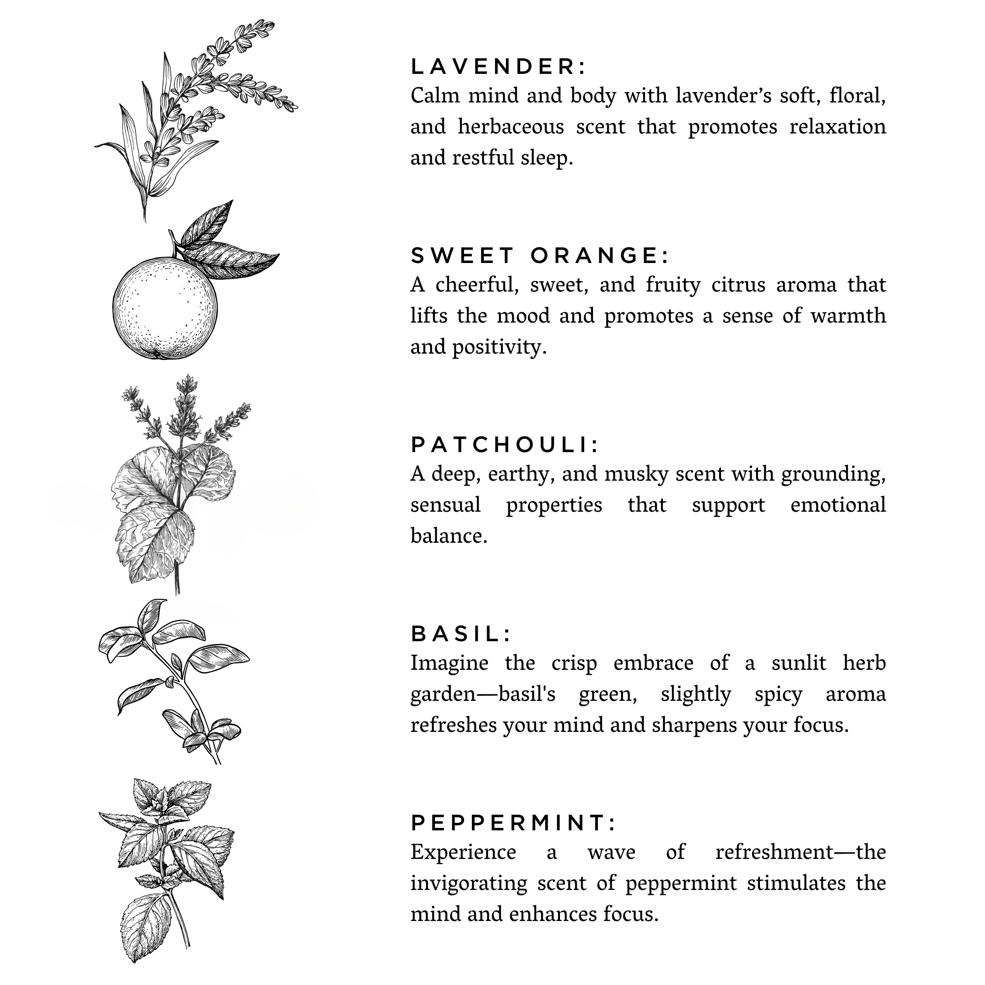Revive - Spa Collection