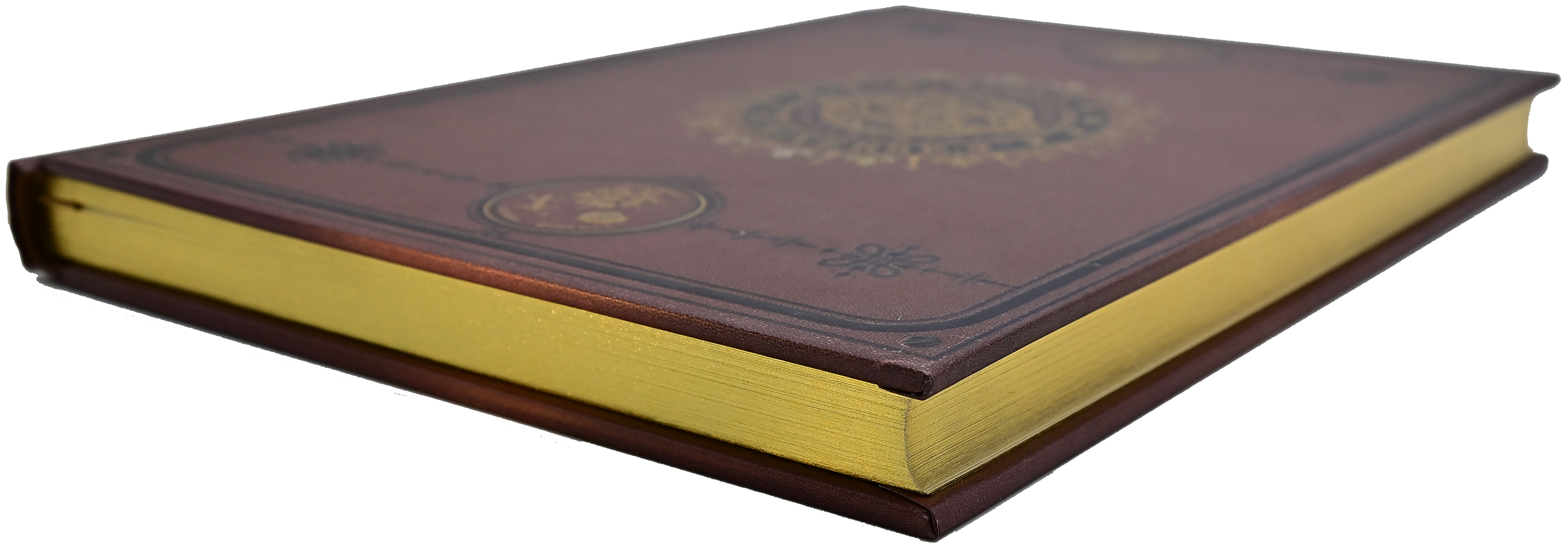 The Universe Journal