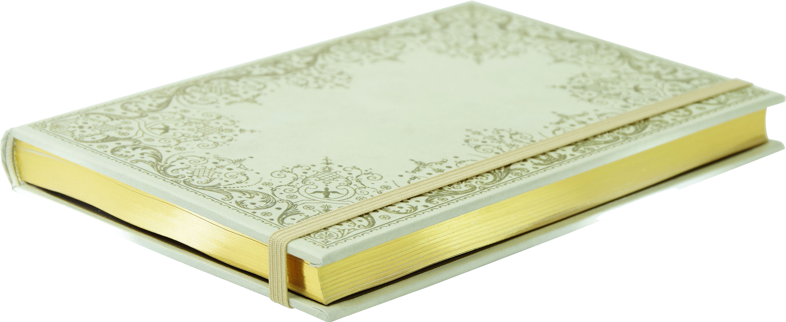 Gilded Ivory Journal