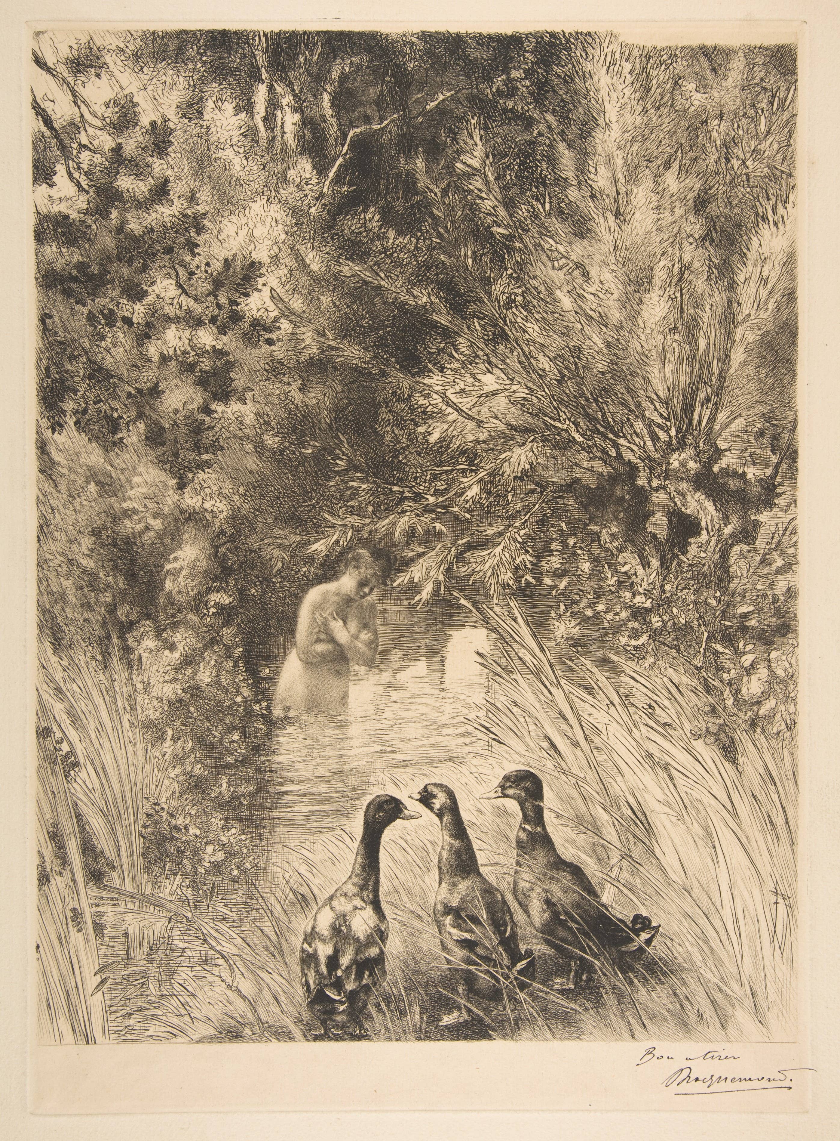 Canards Surpris, 1882