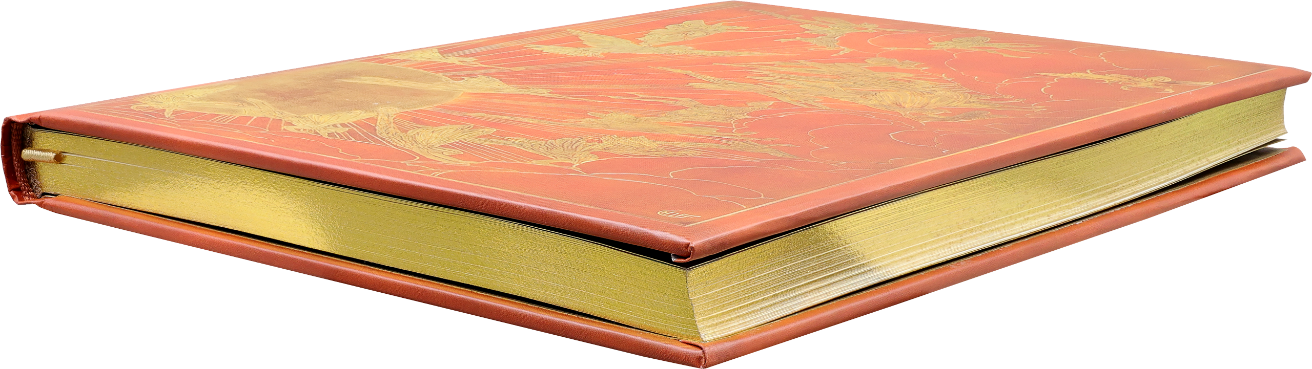 Orange Fairy Journal