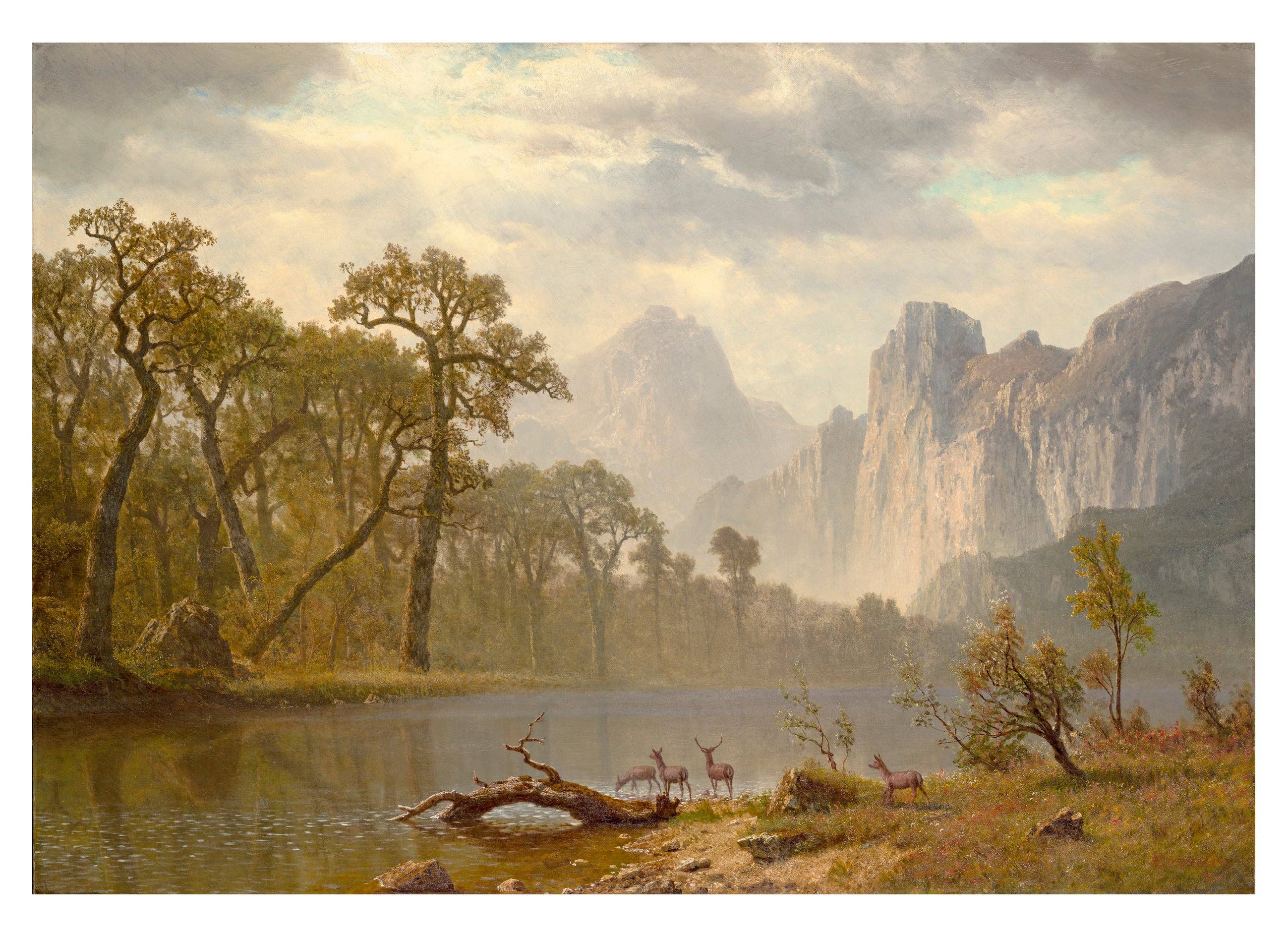 Hudson River School Paintings Book of Postcards