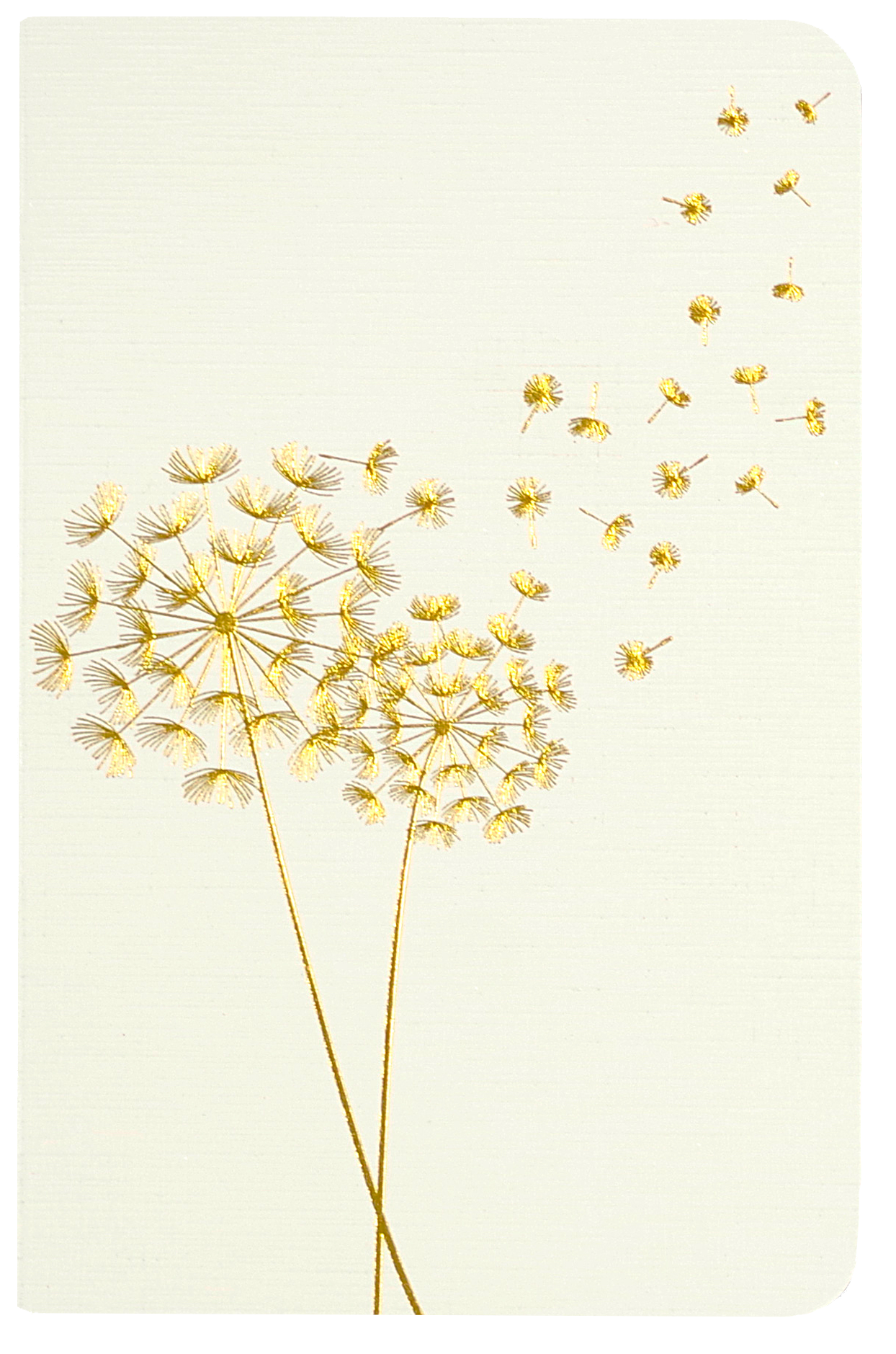 Jotter Mini Notebook Set: Dandelion Wishes