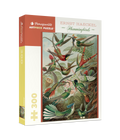 Ernst Haeckel: Hummingbirds 300-Piece Jigsaw Puzzle