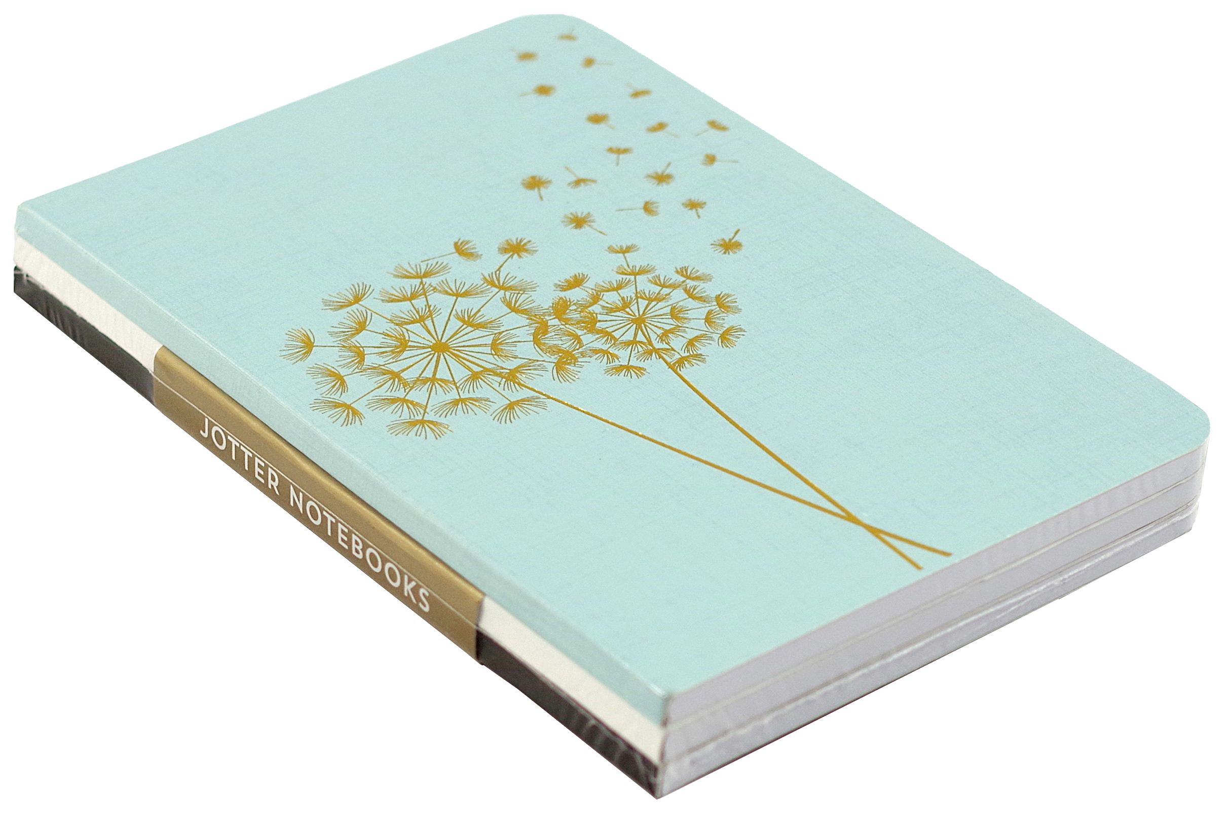 Jotter Mini Notebook Set: Dandelion Wishes