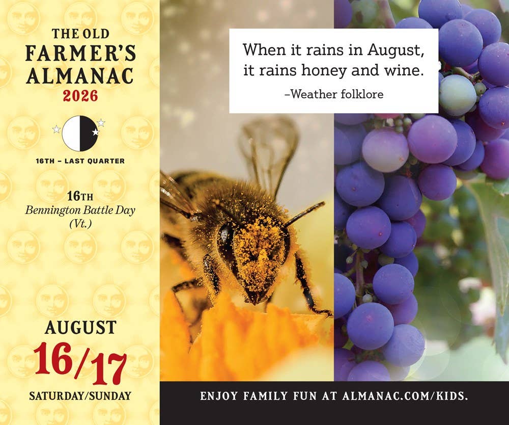 2026 Old Farmer's Almanac Everyday Box Calendar