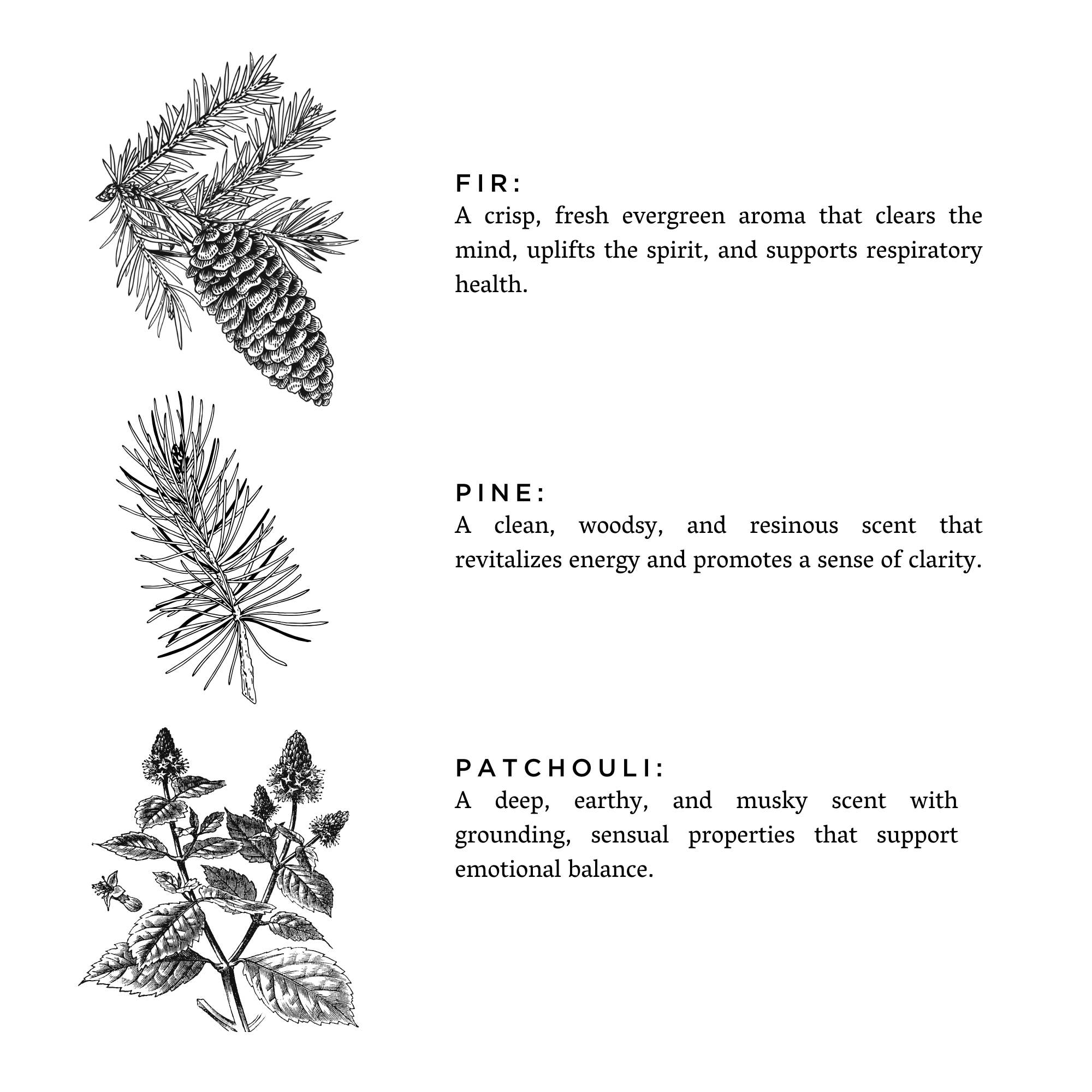 Forest Bathing