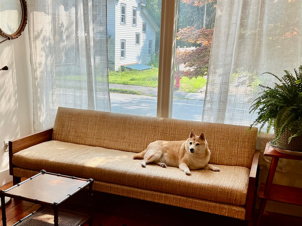 Danish Mid-Century Sofa
