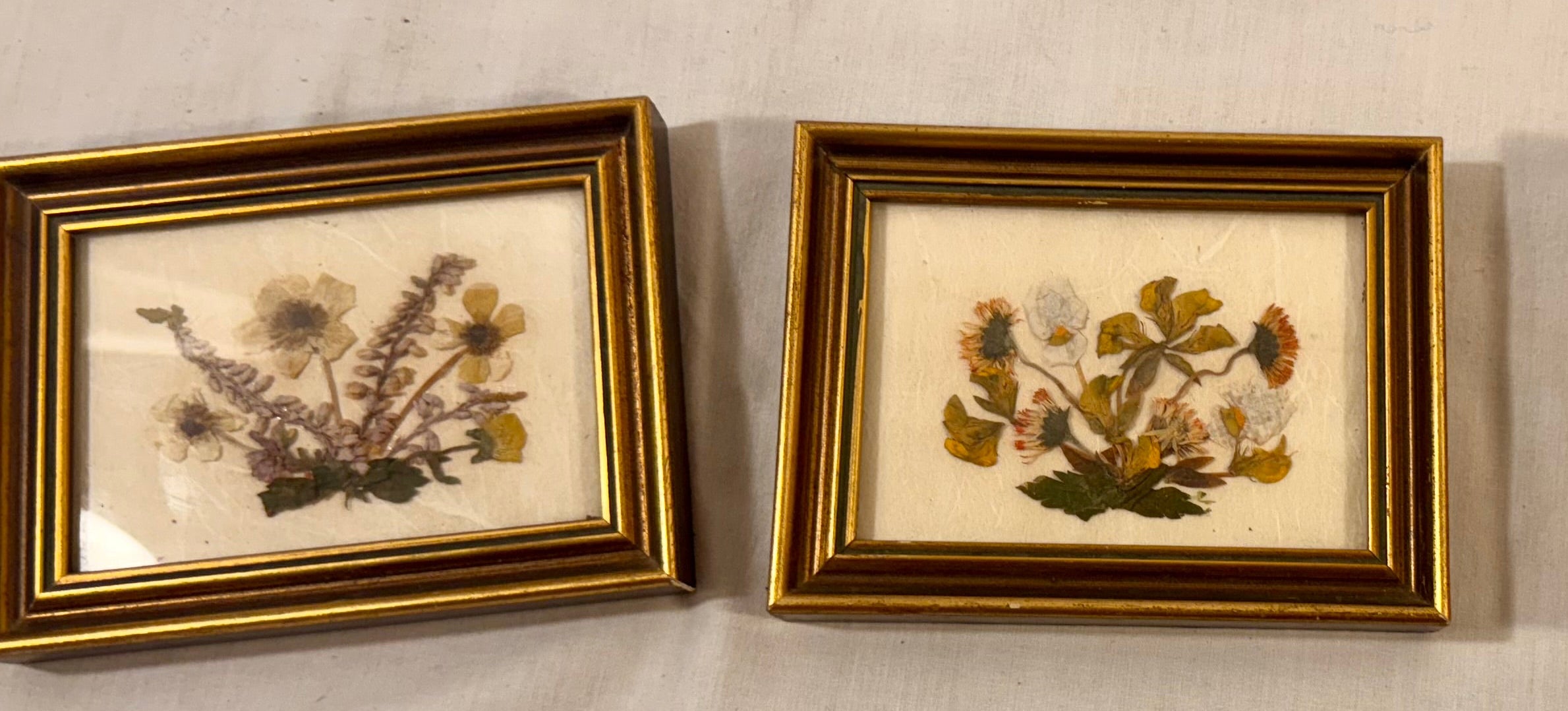 Two framed pressed flower artworks on a plain background