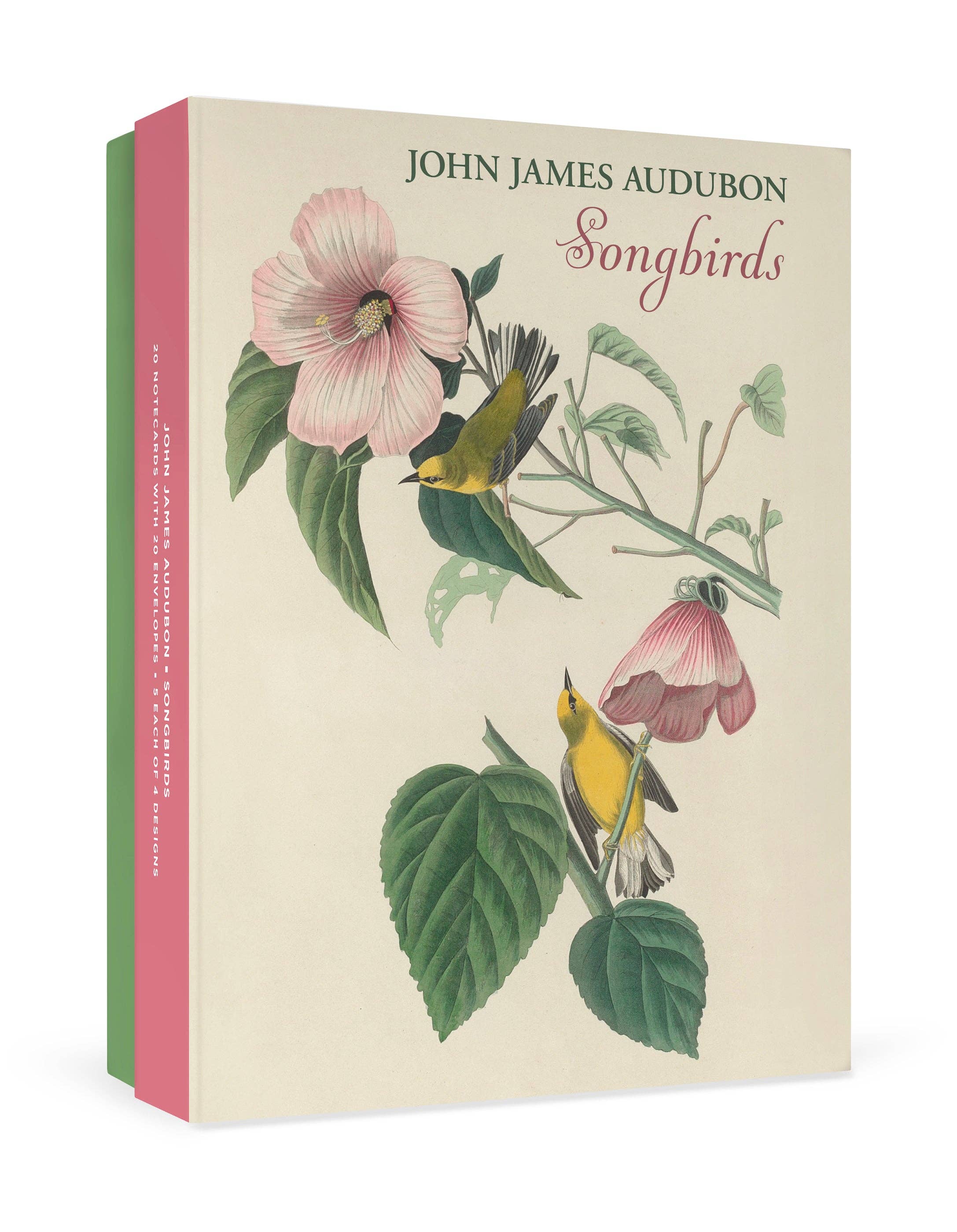 John James Audubon: Songbirds Boxed Notecard Assortment