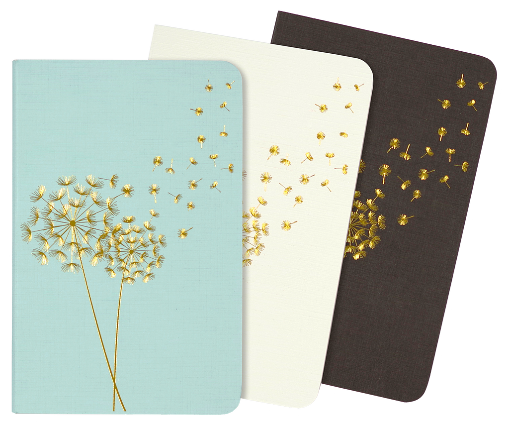 Jotter Mini Notebook Set: Dandelion Wishes