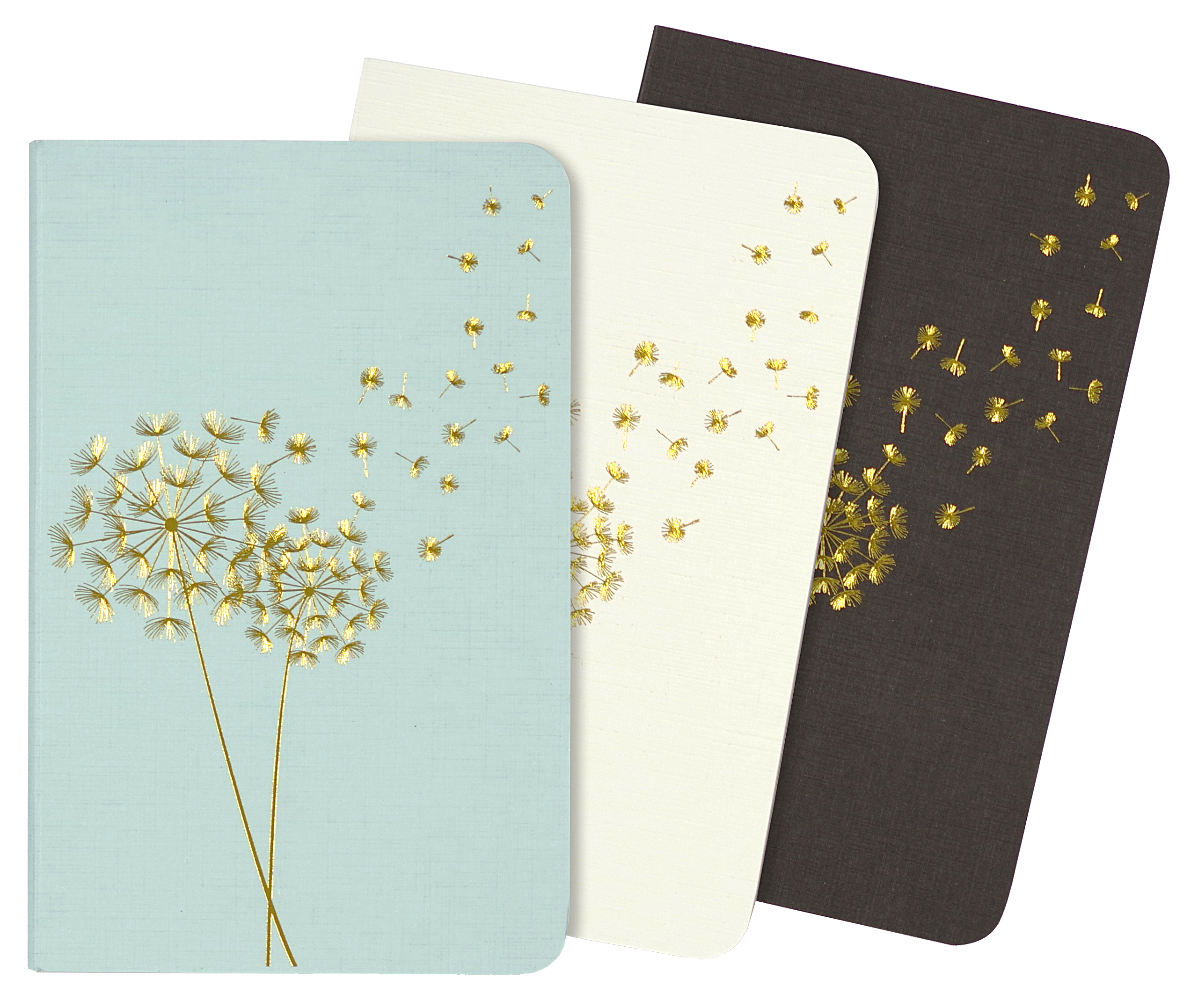 Jotter Mini Notebook Set: Dandelion Wishes