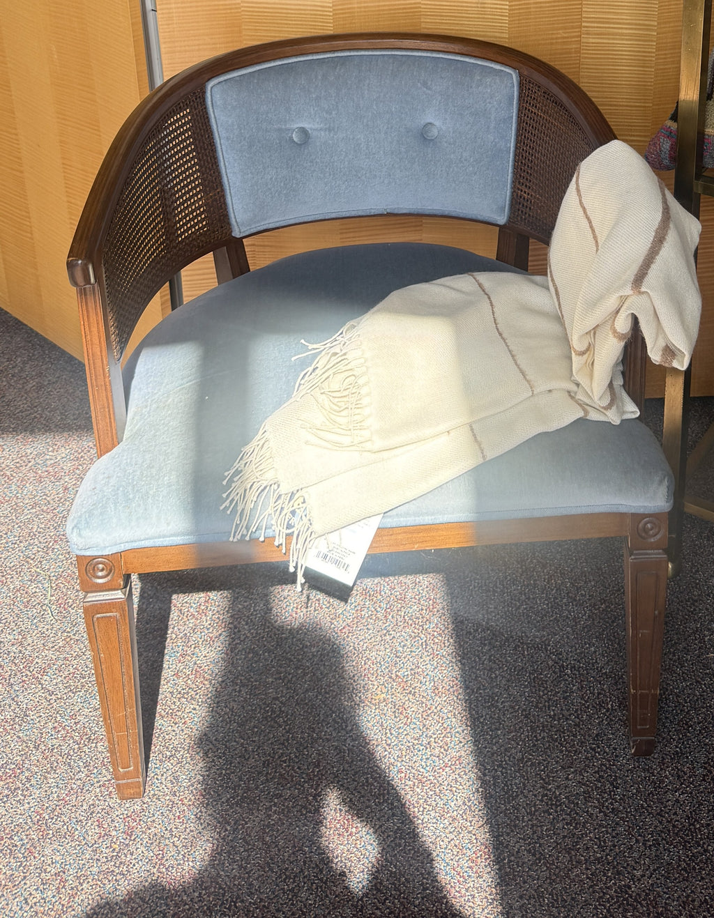 Cane Barrel Back Chair Powder Blue Velvet