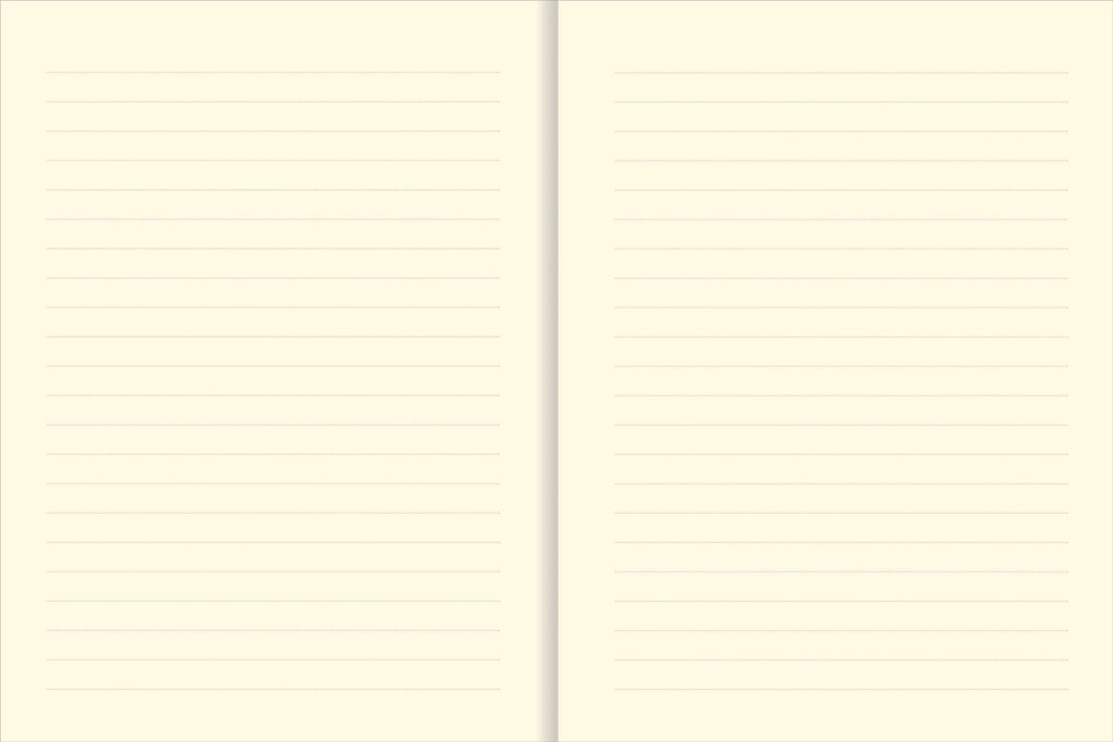 The Universe Journal