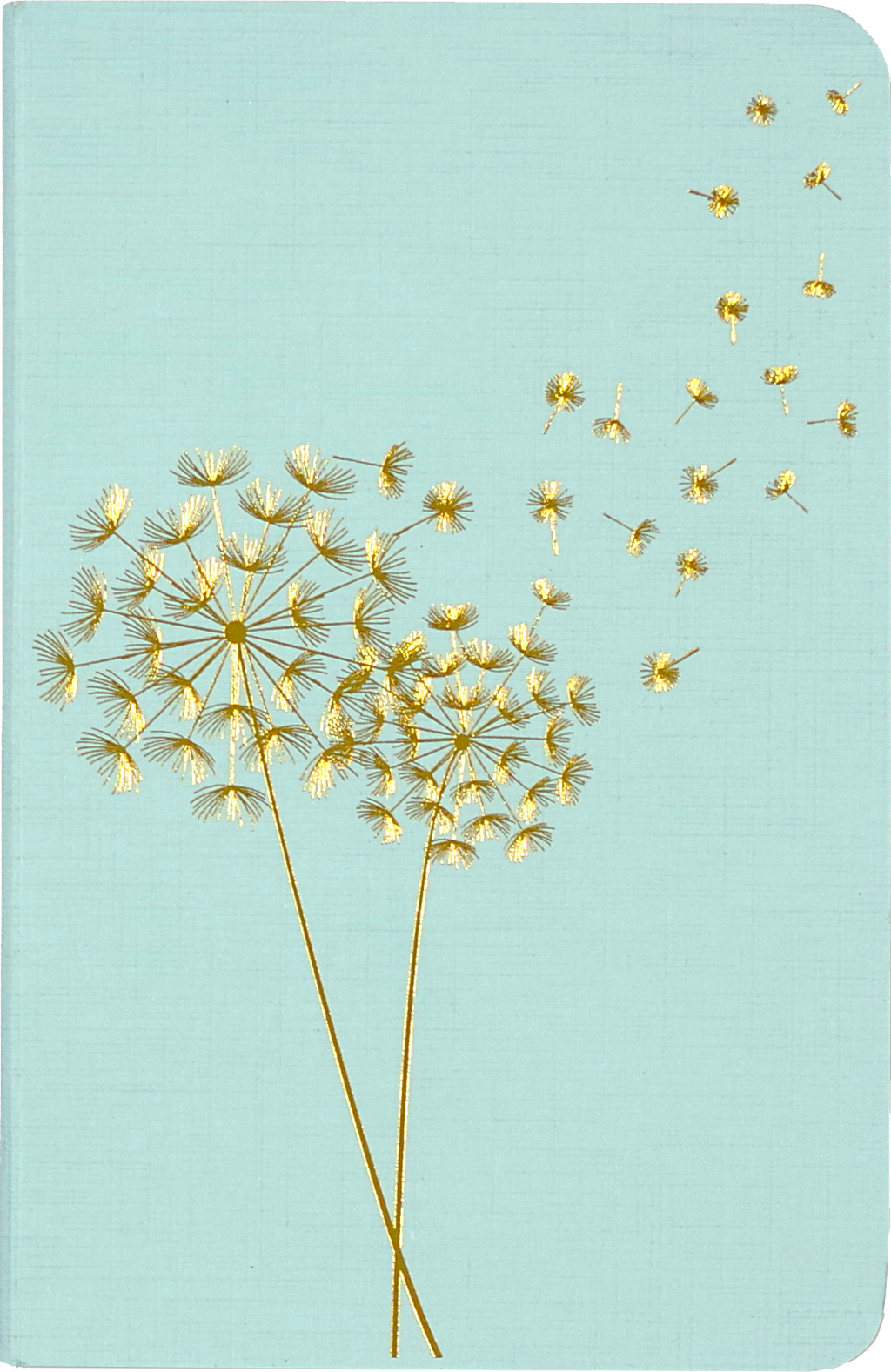 Jotter Mini Notebook Set: Dandelion Wishes
