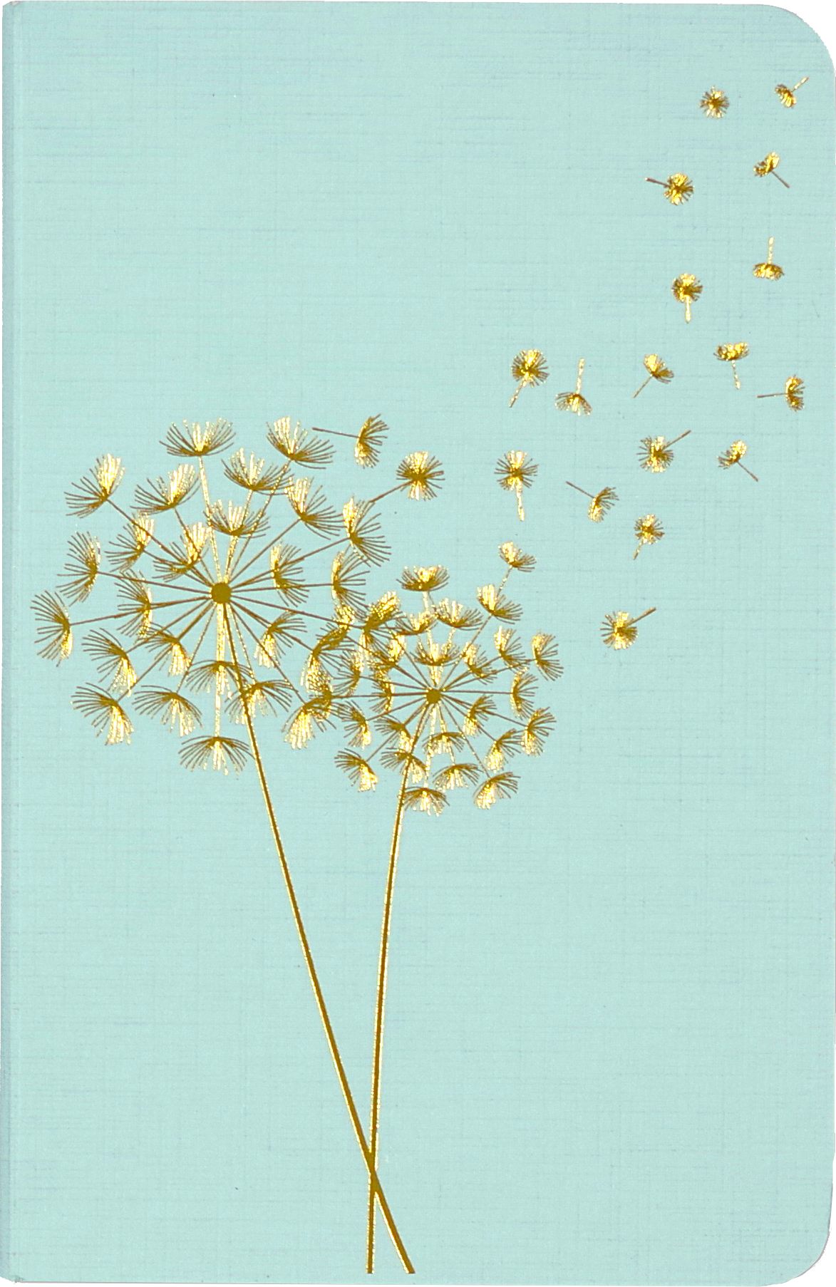 Jotter Mini Notebook Set: Dandelion Wishes