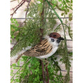 4.5" Barn Sparrow