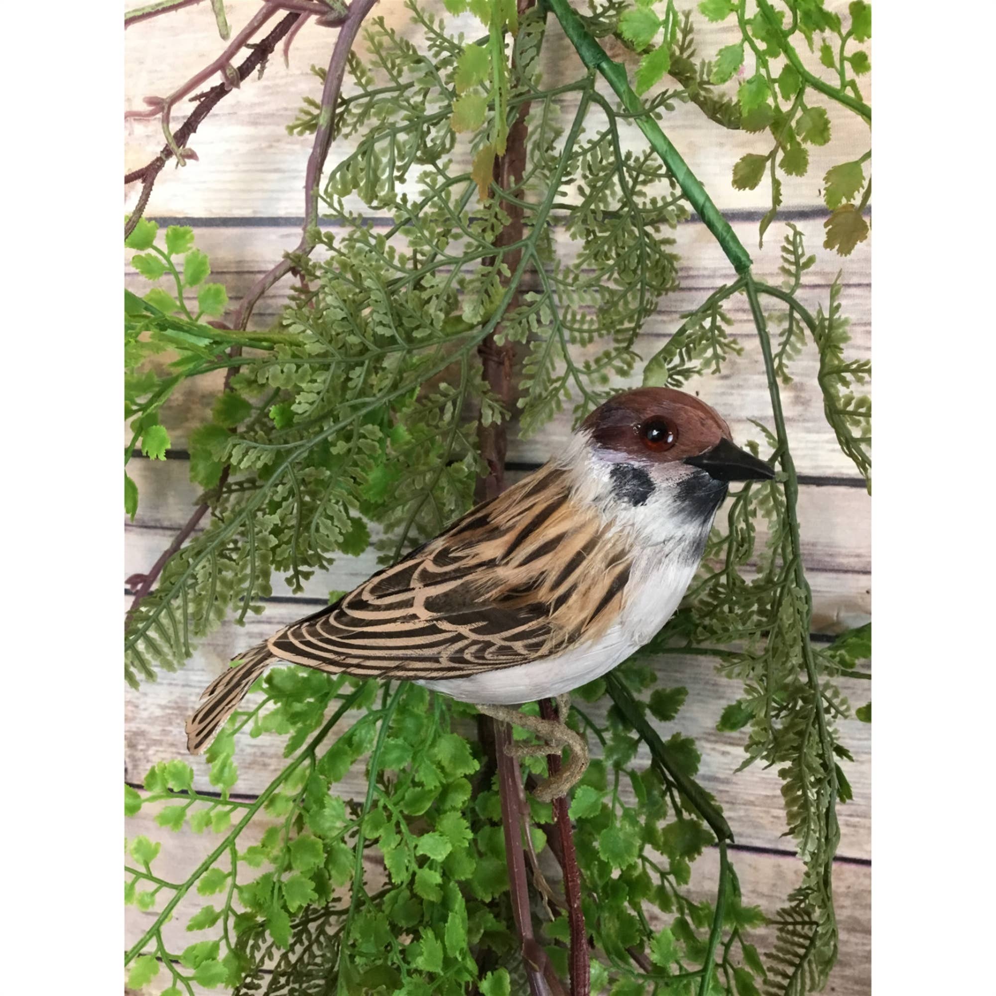 4.5" Barn Sparrow