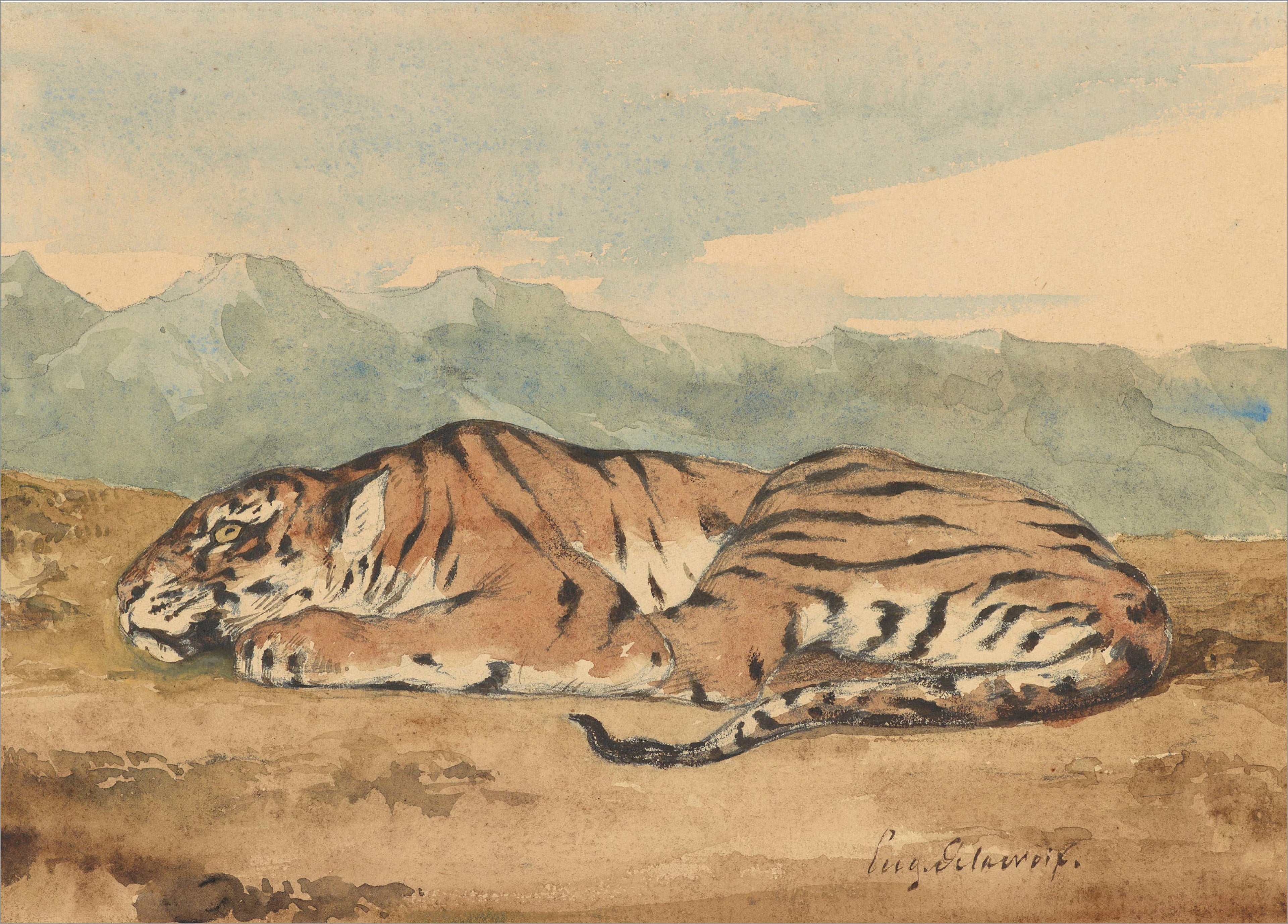 Royal Tiger, C 1800'S