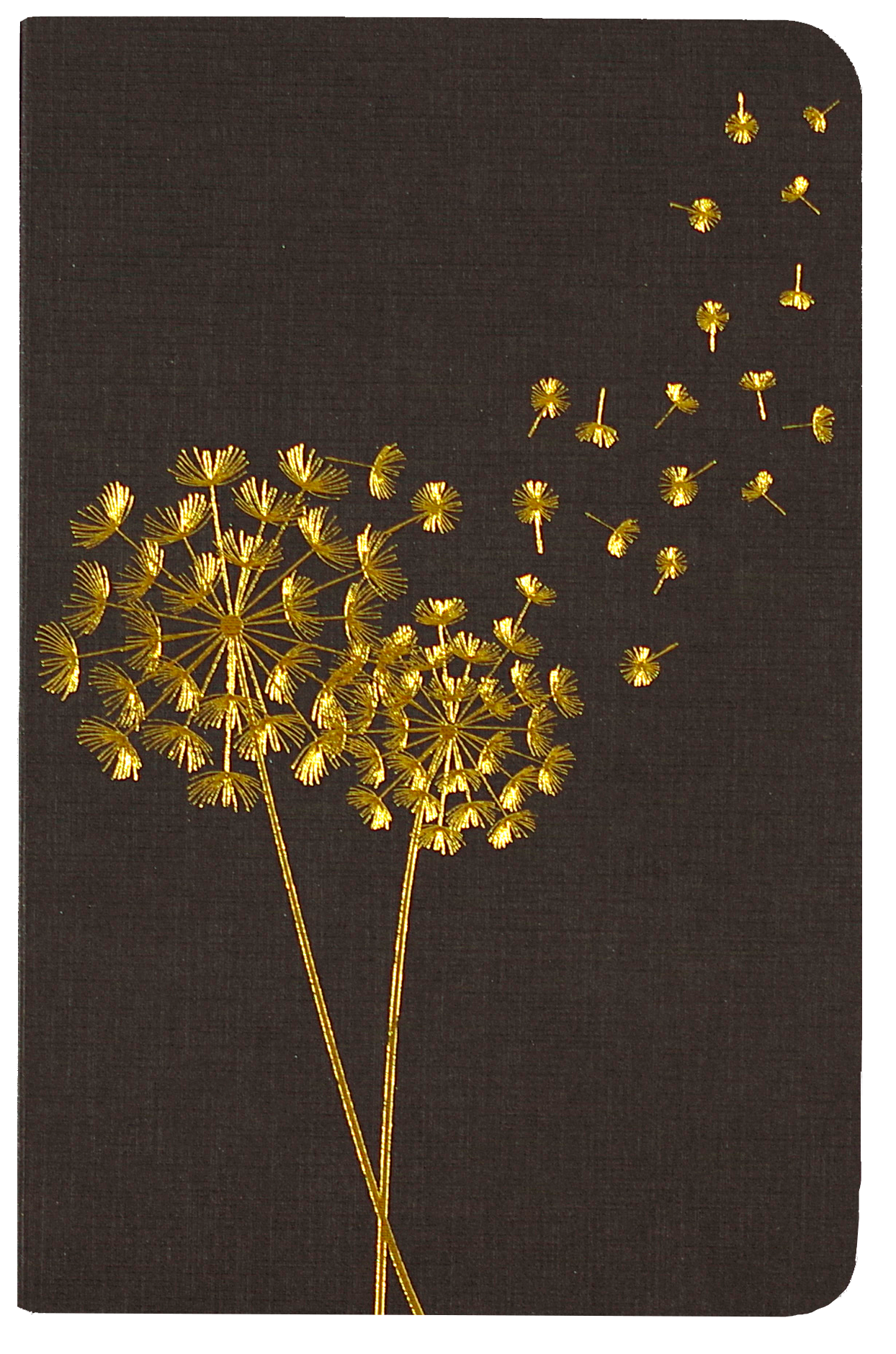 Jotter Mini Notebook Set: Dandelion Wishes